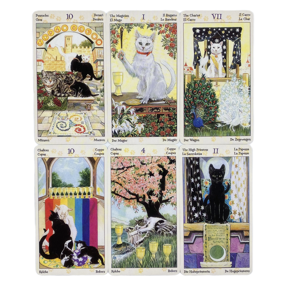 78 Cards Deck Tarot Of Pagan C - Board Game Of Life review and price