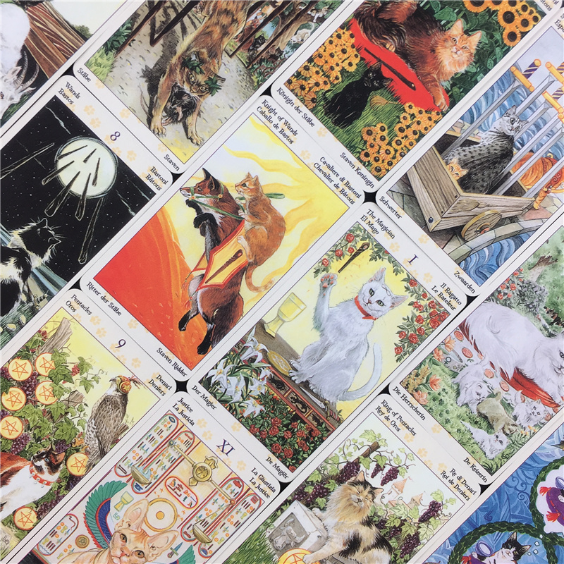 78 Cards Deck Tarot Of Pagan C - Board Game Of Life review and price