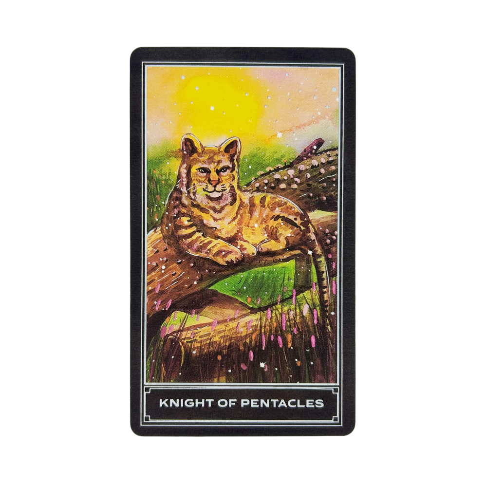 The Enchanting Earth Tarot Car - Board Game Inspiration review and price