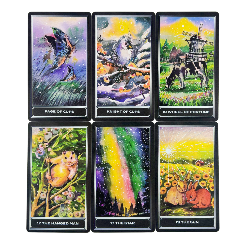 The Enchanting Earth Tarot Car - Board Game Inspiration review and price